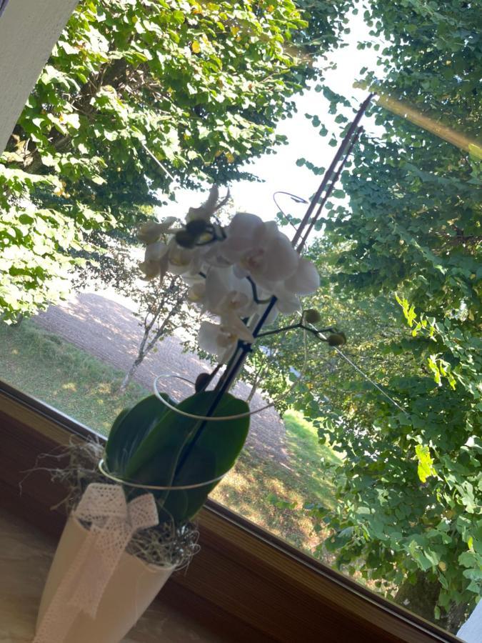 Hohe Tanne Hotel Auerbach in der Oberpfalz Eksteriør billede